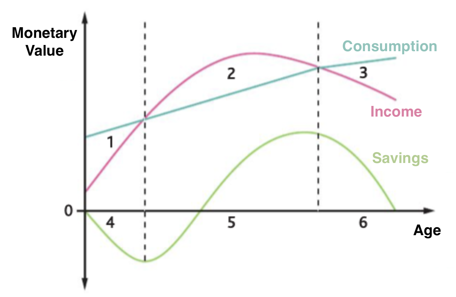 what-is-social-differentiation-it-s-meaning-and-causes