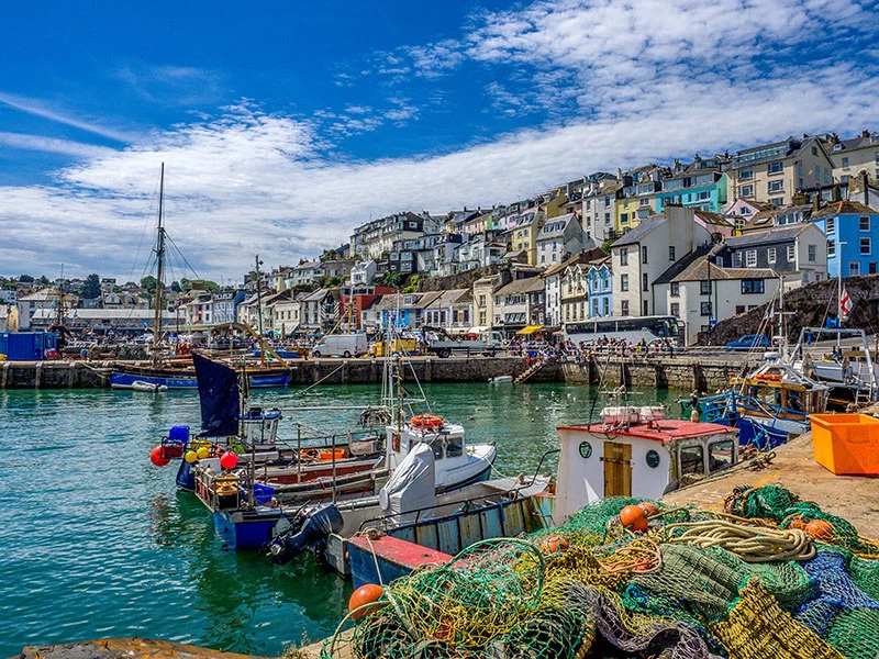 Devon coast