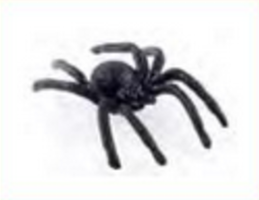 plastic spider