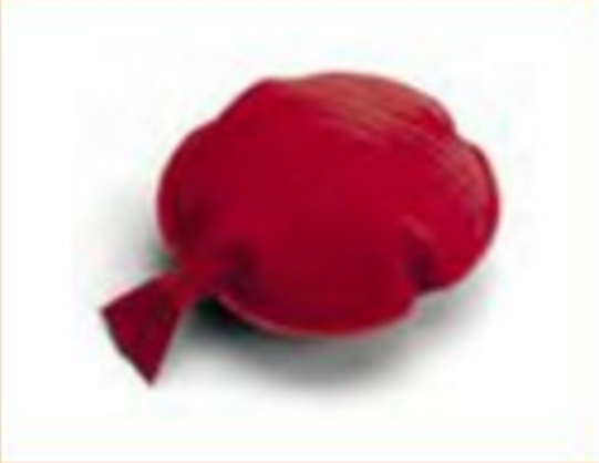 whoopee cushion