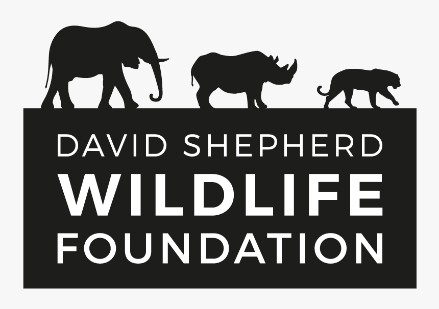 David Shepherd Wildlife Foundation