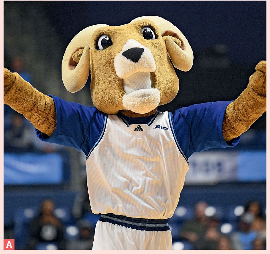 Sam the Ram