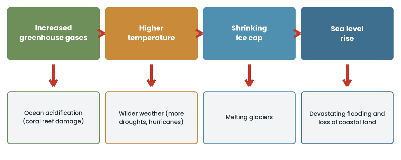 A chain of four causes — increased greenhouse gases, higher temperature, shrinking ice cap, sea level rise — with the consequence of each one underneath.