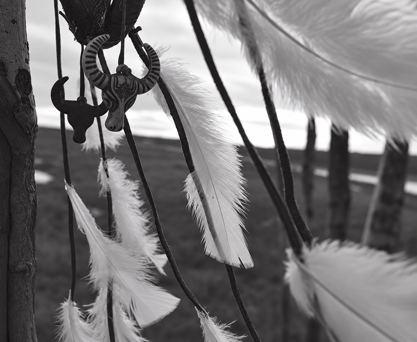 Photographie de Santana Schmidt