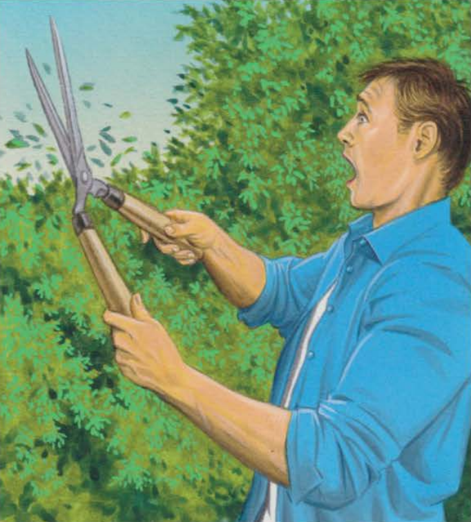 A shocked man with garden shears in front of a hedge